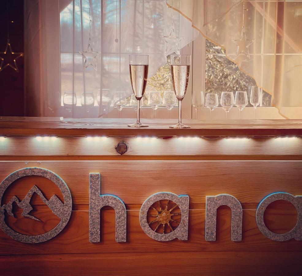 Ohana Boutique Hotel Vistea de Sus Exterior photo
